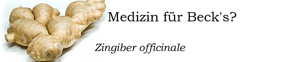 AB Ingwev?